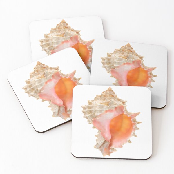 Item preview, conch shell it girl star girl sticker designed and sold by inainart.