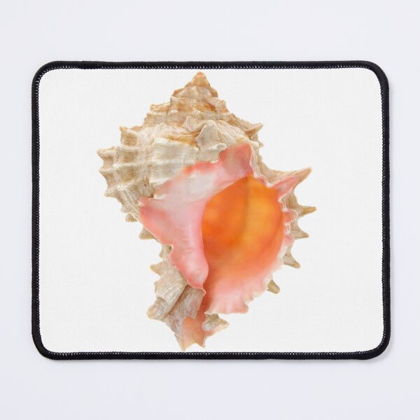 Item preview, conch shell it girl star girl sticker designed and sold by inainart.