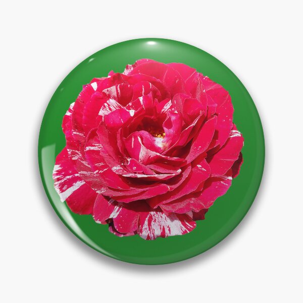 Item preview, Red and White Swirl Roses designed and sold by PudgeMuffin Creations.
