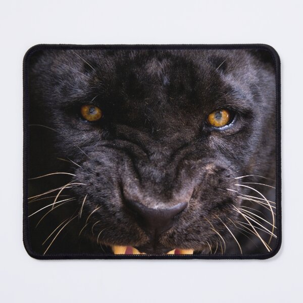 Item preview, Black Panther Snarling Portrait Dark Background designed and sold by Guilherme Neves.
