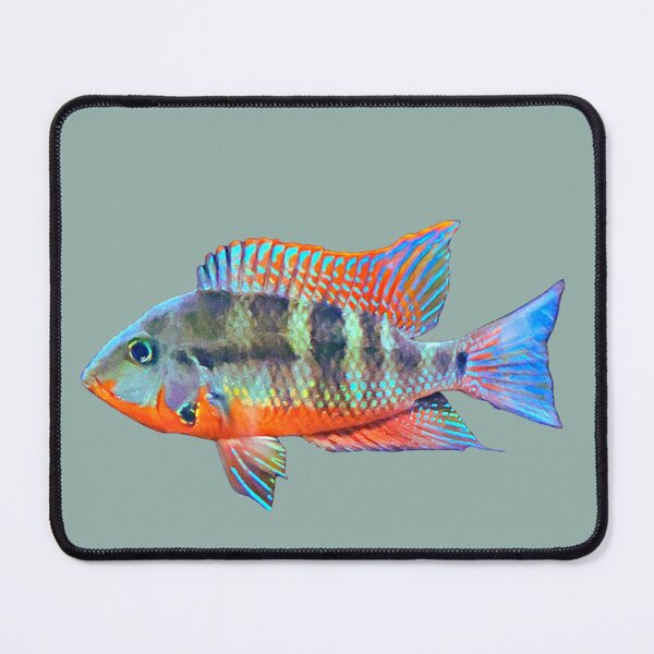 Item preview, Firemouth Cichlid designed and sold by CatsPa.