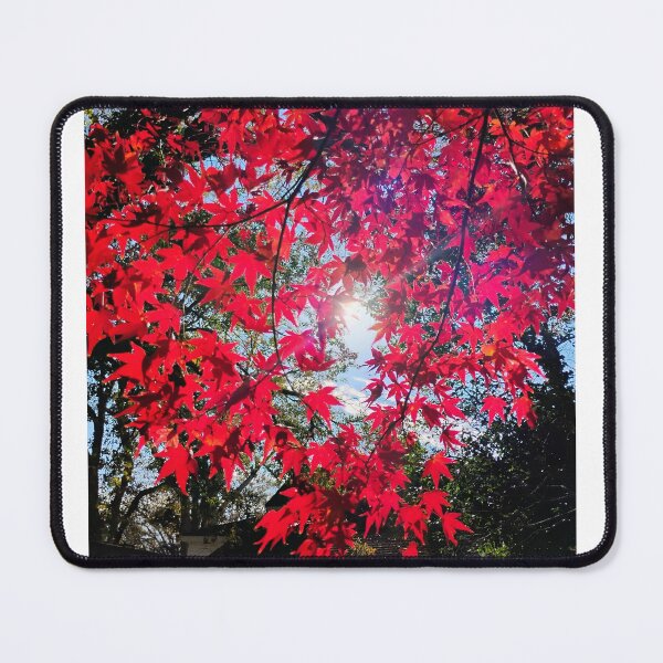 Item preview, Japanese Maple Heart Lit designed and sold by Sooty Fenix D.M..