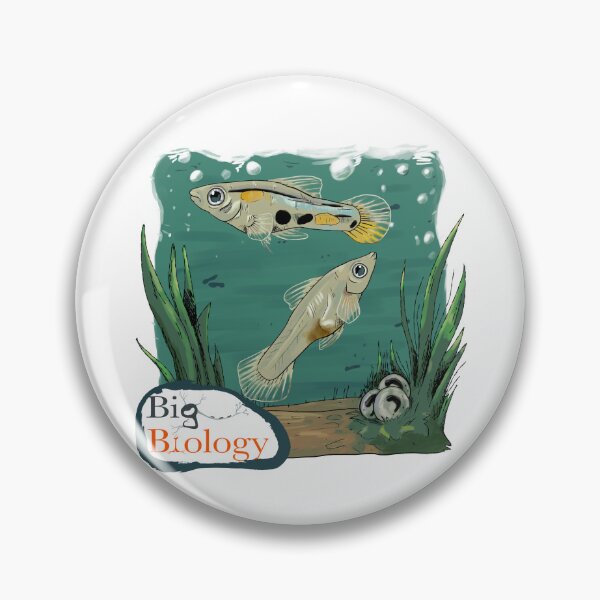 Item preview, Evolution at the speed of life (Ep 145) designed and sold by BigBiology.
