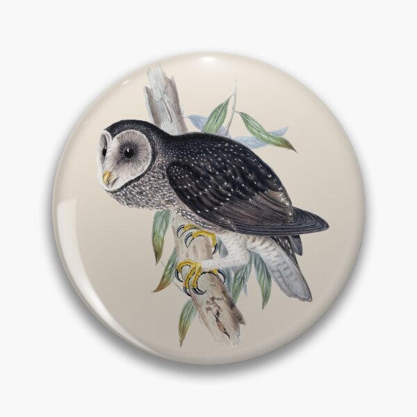 Item preview, Sooty Owl (Tyto tenebricosa) - Vintage Bird Illustration - John Gould (1840s) designed and sold by karwilberevivalcollection.