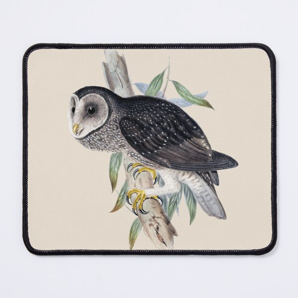 Item preview, Sooty Owl (Tyto tenebricosa) - Vintage Bird Illustration - John Gould (1840s) designed and sold by karwilberevivalcollection.