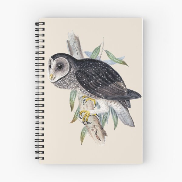 Item preview, Sooty Owl (Tyto tenebricosa) - Vintage Bird Illustration - John Gould (1840s) designed and sold by karwilberevivalcollection.