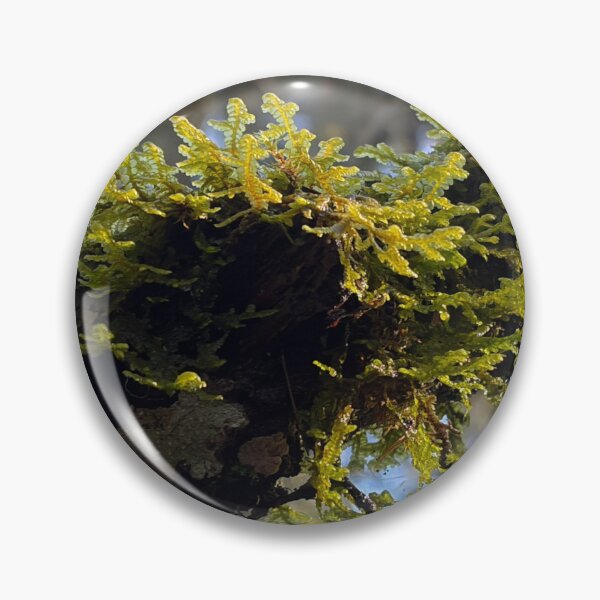 Item preview, Moss designed and sold by OddishLab.