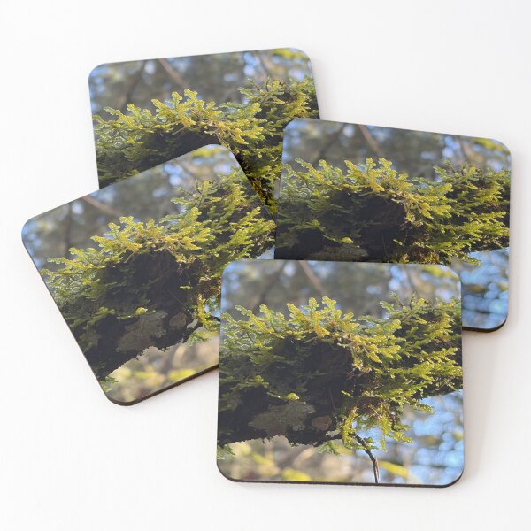Item preview, Moss designed and sold by OddishLab.