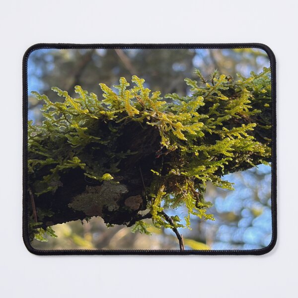 Item preview, Moss designed and sold by OddishLab.