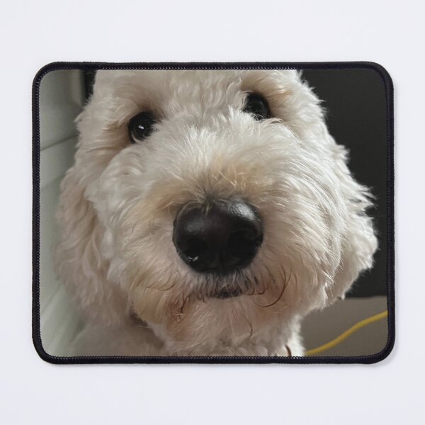 Item preview, Goldendoodle  designed and sold by kp3434.