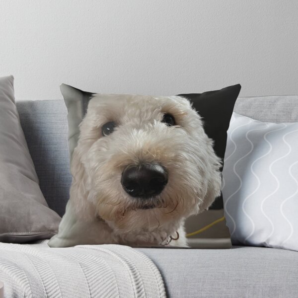 Item preview, Goldendoodle  designed and sold by kp3434.