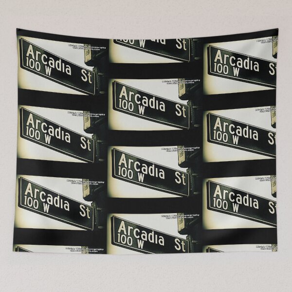 Item preview, Arcadia Street, Los Angeles, California by Mistah Wilson Photography designed and sold by The Street Sign Store.