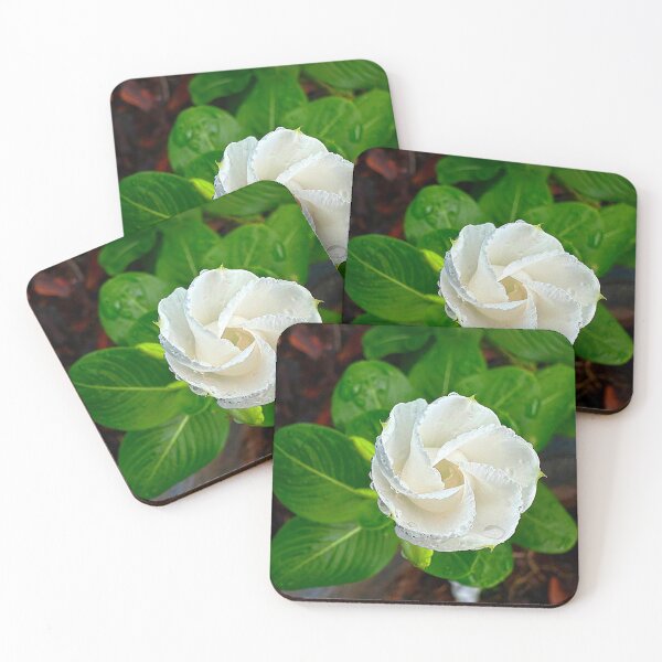 Item preview, Good morning, flower dew! designed and sold by AuntieSugarCo.