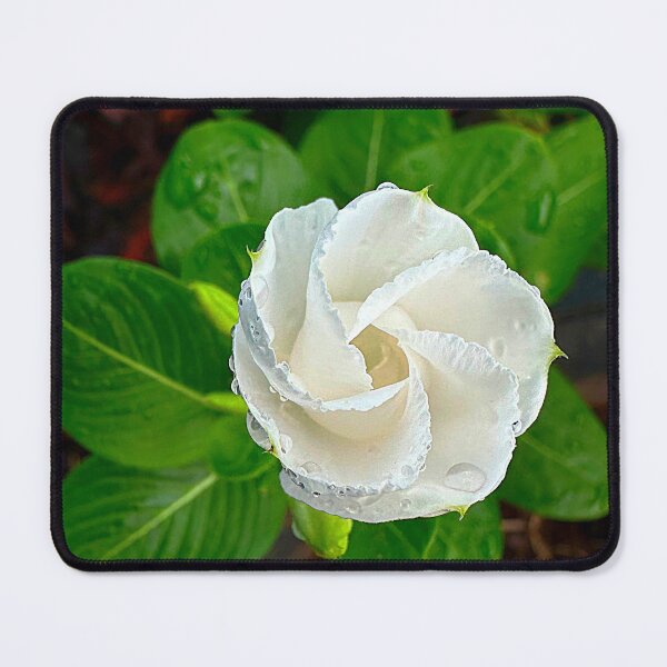 Item preview, Good morning, flower dew! designed and sold by AuntieSugarCo.