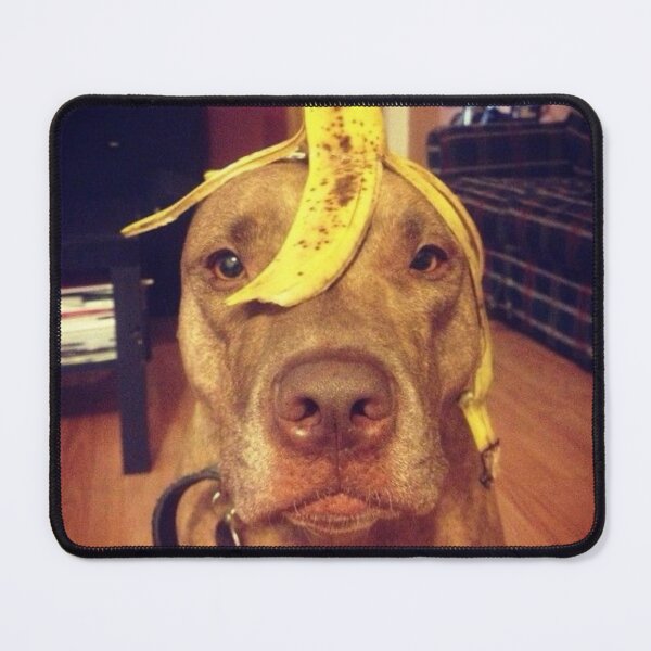 Item preview, Banana dog designed and sold by meowscheme.