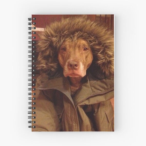 Item preview, Cold dog designed and sold by meowscheme.