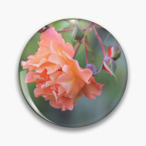 Item preview, Pretty Coral Rose Cluster designed and sold by KarenWoodArt.