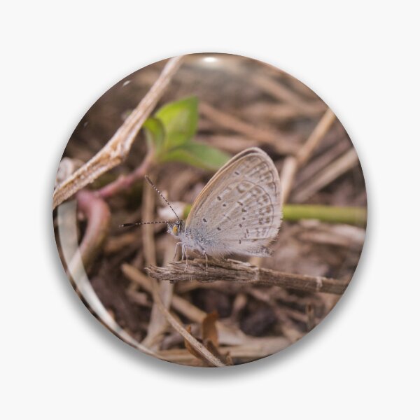 Item preview, Tiny Grass Blue designed and sold by ROSE ANN BANILAR.