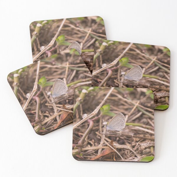 Item preview, Tiny Grass Blue designed and sold by ROSE ANN BANILAR.