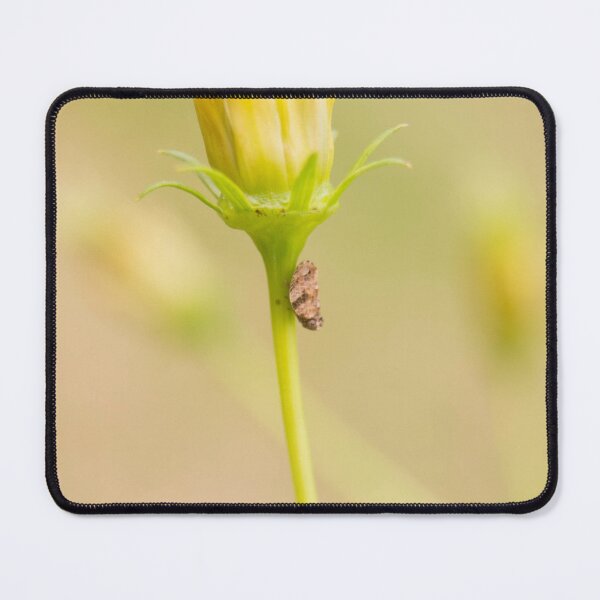 Item preview, Pair of Insects designed and sold by ROSE ANN BANILAR.
