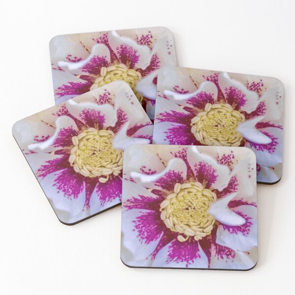 Item preview, Hellebore Flower in Magenta and White designed and sold by Vicky Brago-Mitchell®.