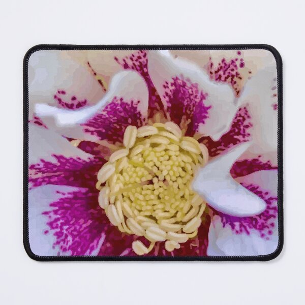 Item preview, Hellebore Flower in Magenta and White designed and sold by Vicky Brago-Mitchell®.