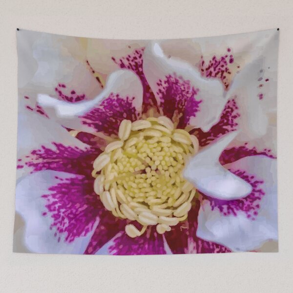 Artikelvorschau, Christrosenblüte in Magenta und Weiß entworfen und verkauft von Vicky Brago-Mitchell®.