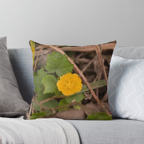 Item preview, Indian Mallow designed and sold by ROSE ANN BANILAR.