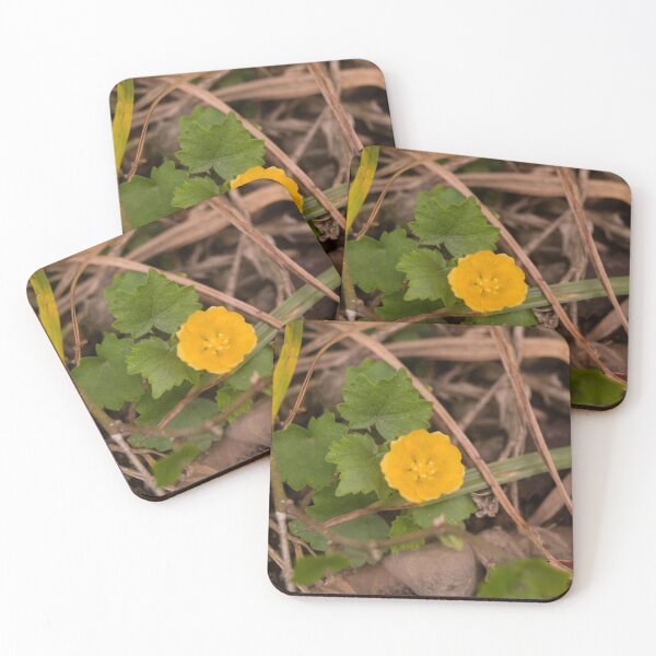Item preview, Indian Mallow designed and sold by ROSE ANN BANILAR.