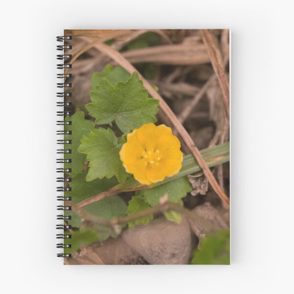 Item preview, Indian Mallow designed and sold by ROSE ANN BANILAR.