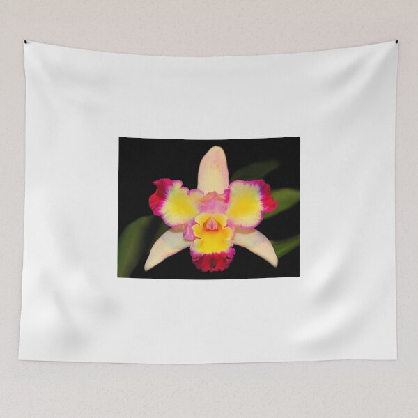Item preview, Multi Coloured Cattleya Orchid designed and sold by vette.