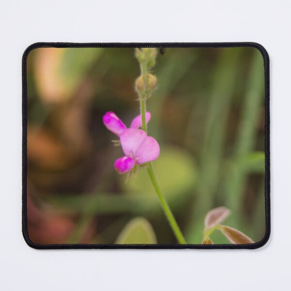 Item preview, Spanish clover designed and sold by ROSE ANN BANILAR.