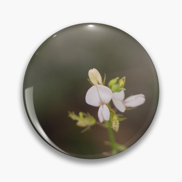 Item preview, creeping beggarweed designed and sold by ROSE ANN BANILAR.
