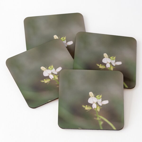 Item preview, creeping beggarweed designed and sold by ROSE ANN BANILAR.