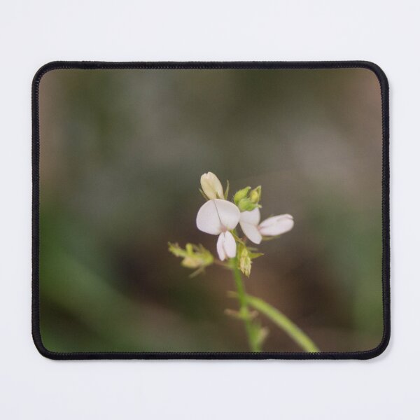 Item preview, creeping beggarweed designed and sold by ROSE ANN BANILAR.