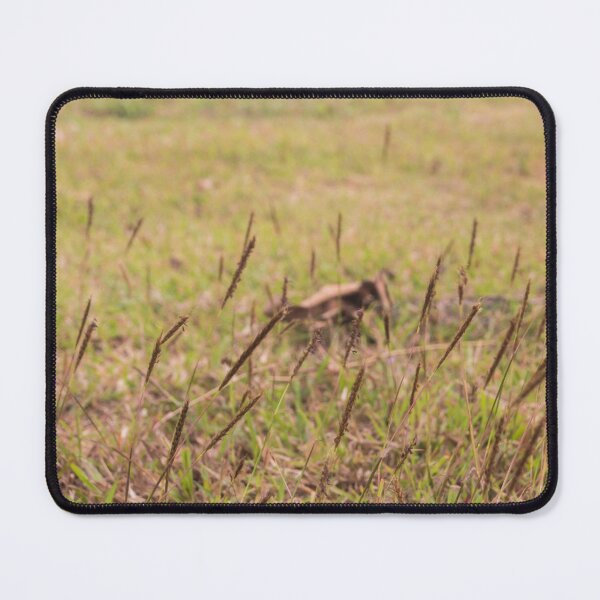 Item preview, Grasses designed and sold by ROSE ANN BANILAR.