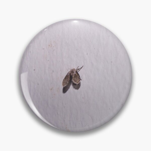 Item preview, drain fly designed and sold by ROSE ANN BANILAR.