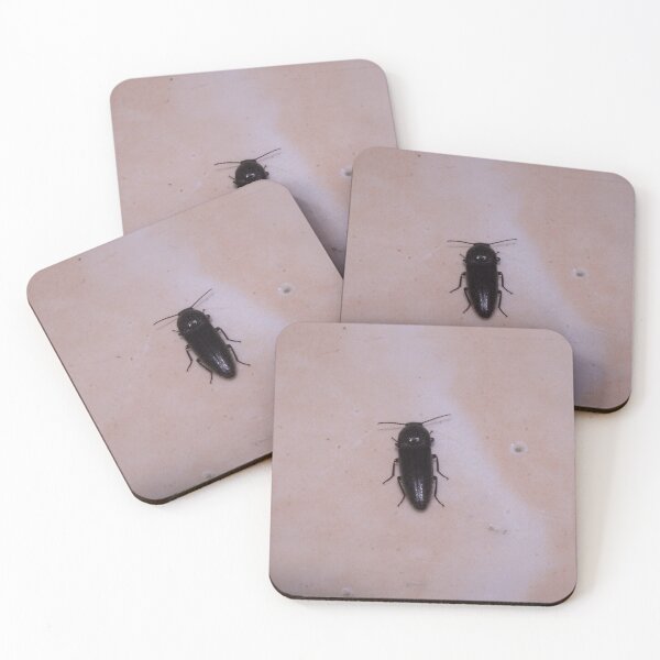 Item preview, click beetle designed and sold by ROSE ANN BANILAR.