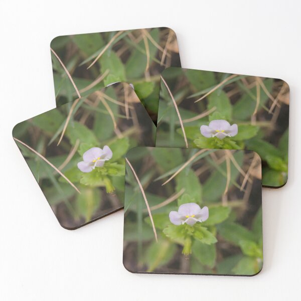 Item preview, Sparrow False Pimpernel designed and sold by ROSE ANN BANILAR.