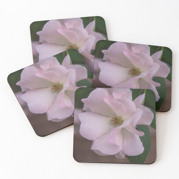 Item preview, Rugosa Rose designed and sold by ROSE ANN BANILAR.