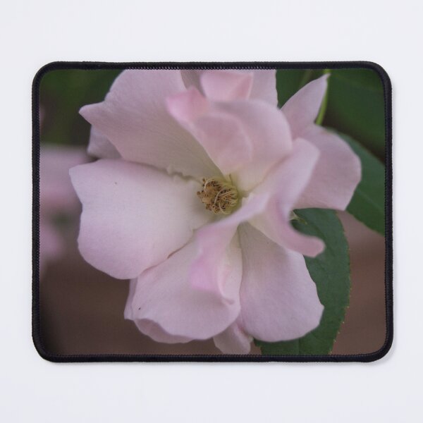 Item preview, Rugosa Rose designed and sold by ROSE ANN BANILAR.