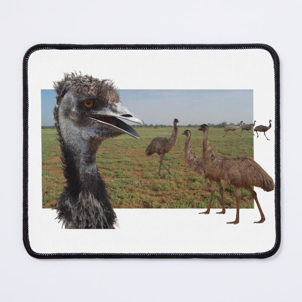 Item preview, Emu designed and sold by ZoObsessed.