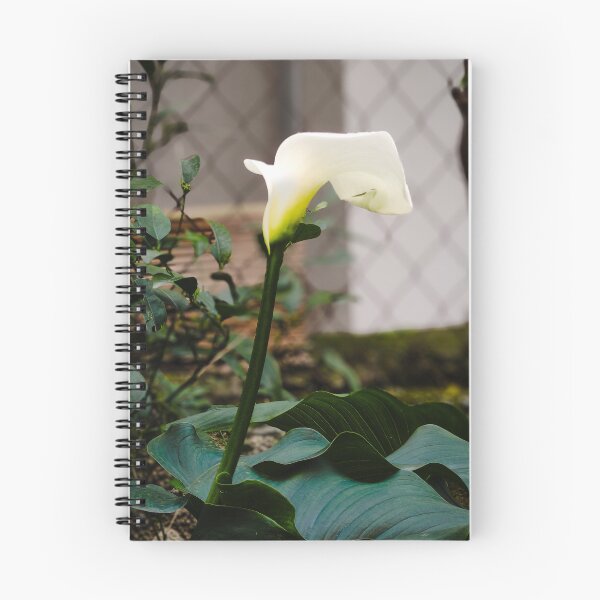 Item preview, A very beautiful flower designed and sold by RSMariet.