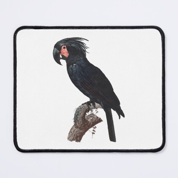 Item preview, parrot Art designed and sold by prakashbisht51.