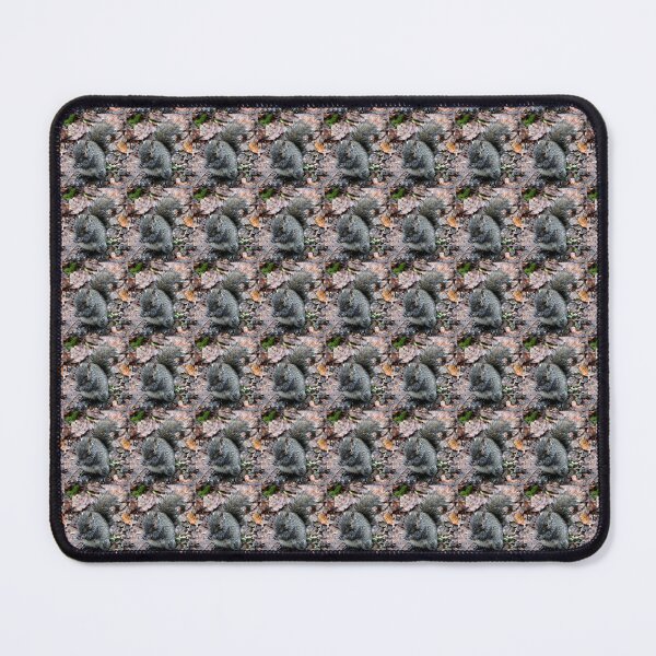 Item preview, squirrel designed and sold by KathleenDawson.