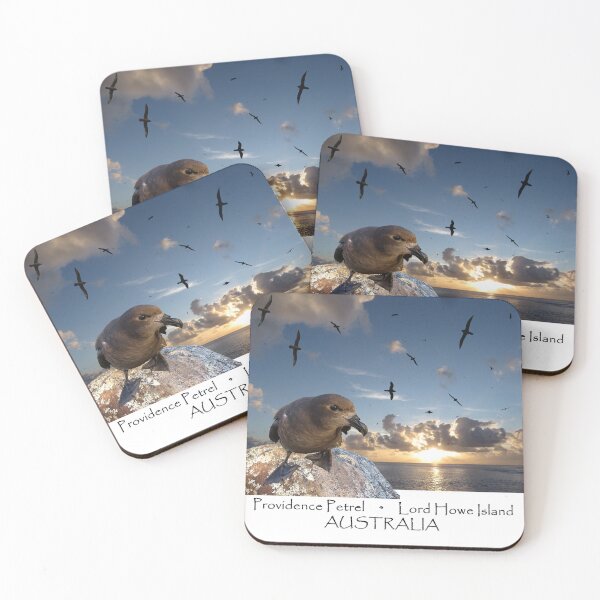 Item preview, Providence Petrel, Lord Howe Island designed and sold by ZoObsessed.
