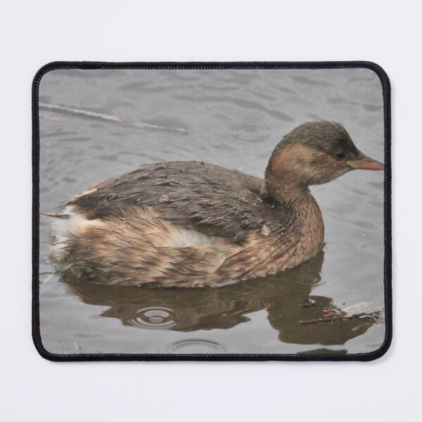 Item preview, grebe designed and sold by KathleenDawson.