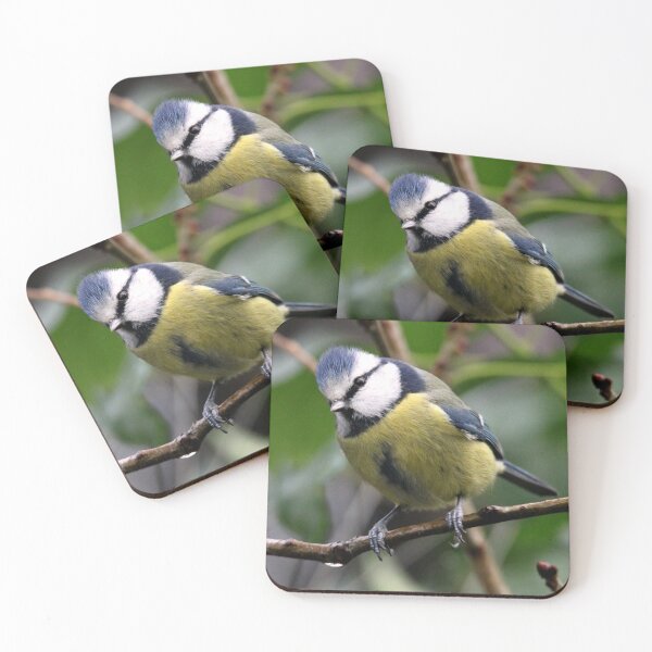 Item preview, blue tit designed and sold by KathleenDawson.
