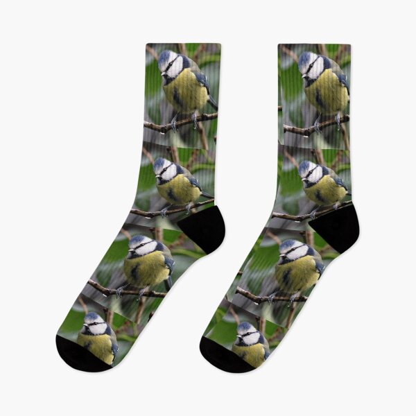 Item preview, blue tit designed and sold by KathleenDawson.