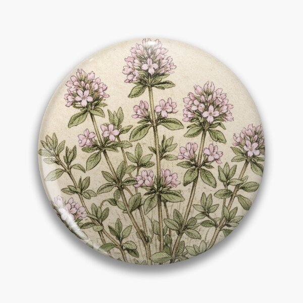 Item preview, Vintage Thyme Botanical Print – Thymus Vulgaris Antique Herb Illustration designed and sold by Darlin8888.